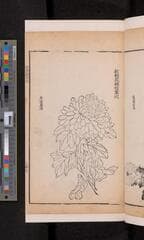 Go to image 381.