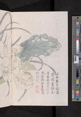 Go to image 140.