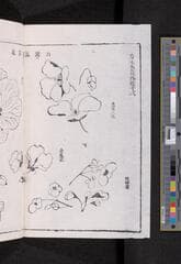 Go to image 48.