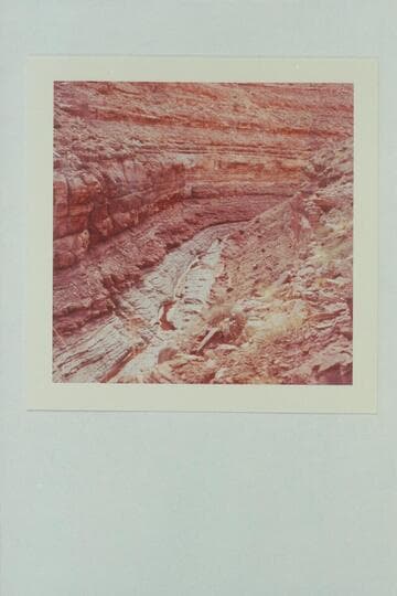 Dark Canyon between LeanTo Canyon and the river. Rico formation