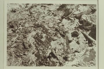 Oil seep at Bennett's old camp. Free oil running from crevice below pipe