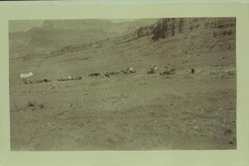 Camping at the Marble Canyon bridge dedication. Print from Freeman collection