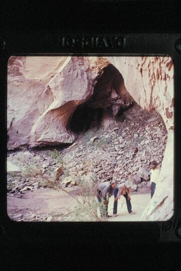 Black Water Cave