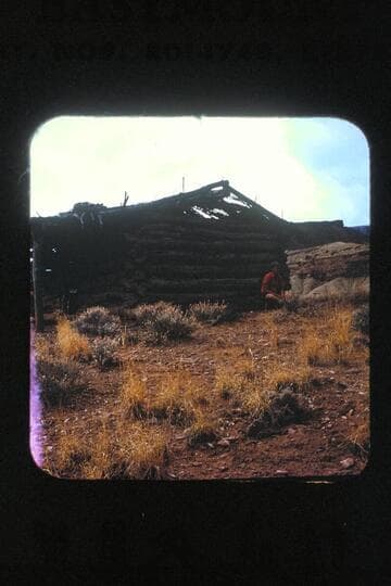 Cabin; Fort Bottom