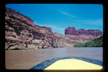 Saddle of the Loop