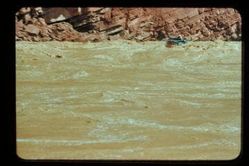 S. Comanche