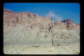 Mouth of Y Canyon