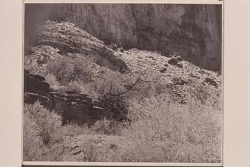 Willie's grave under the ledge. Near Mile 45