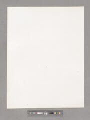 Go to image 6.