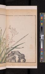 Go to image 102.