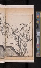 Go to image 120.