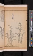 Go to image 132.