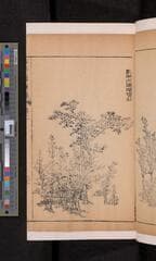 Go to image 123.