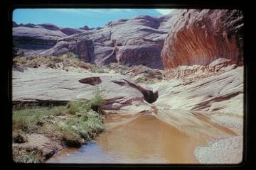 Moepitz Creek