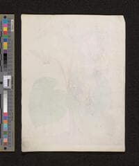 Go to image 204.
