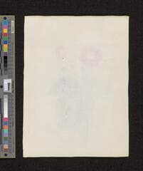 Go to image 222.