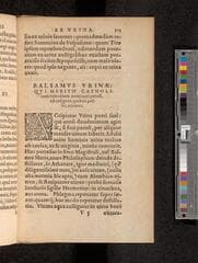 Go to image 341.