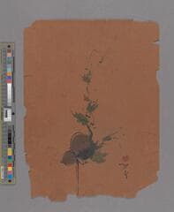 Go to image 147.