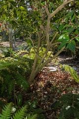 Go to image 2.