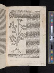 Go to image 275.