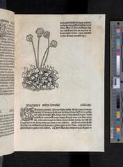 Go to image 121.