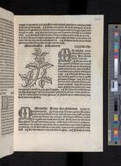 Go to image 355.