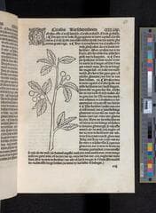 Go to image 165.