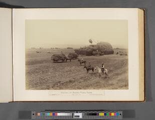 Go to image 43.