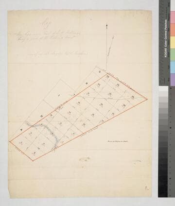 Map of the 690 acre tract of I. W. Hellman, being a part of the Colima Tract