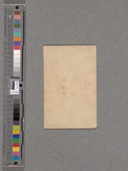 Go to image 41.
