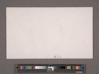 Go to image 65.