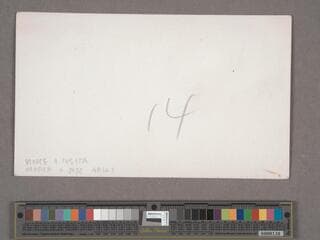 Go to image 228.