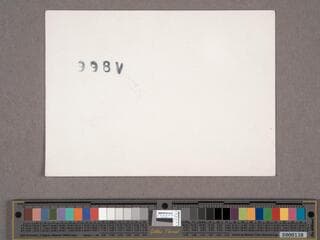Go to image 17.