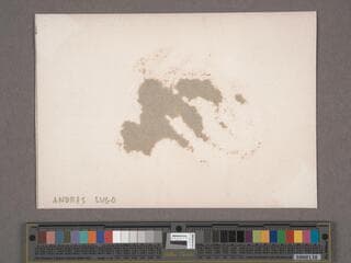 Go to image 154.