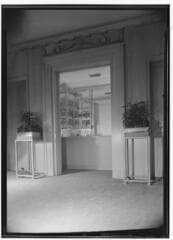 Go to image 11.
