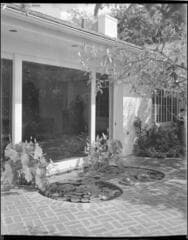 Go to image 1.