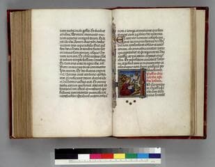 Go to image 11.