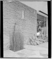 Go to image 10.