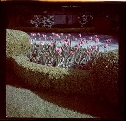 Go to image 37.