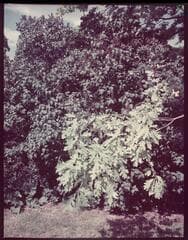 Go to image 4.