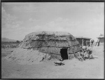 Wickiup