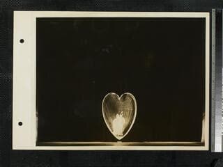 Go to image 4.