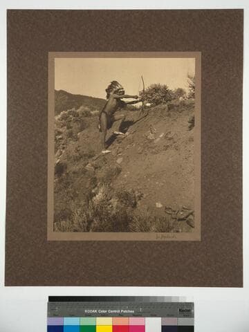 In Ambush