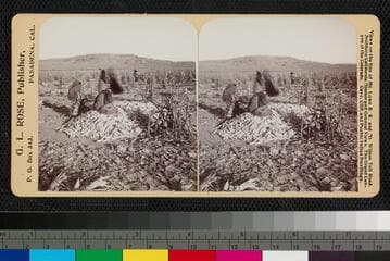 Go to image 1.