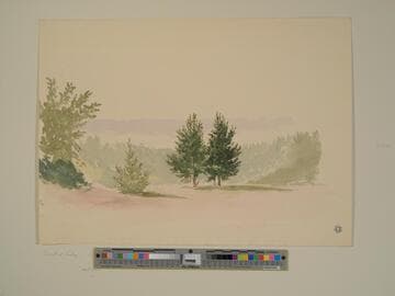 Dark Tree Landscape