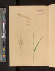 Go to image 75.