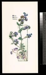Go to image 11.