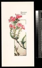 Go to image 8.
