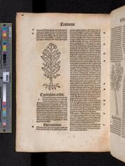 Go to image 272.