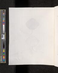 Go to image 292.